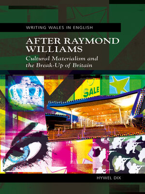 cover image of After Raymond Williams